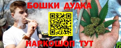 spice Кимры