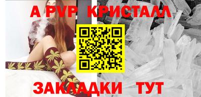 круглые Кингисепп