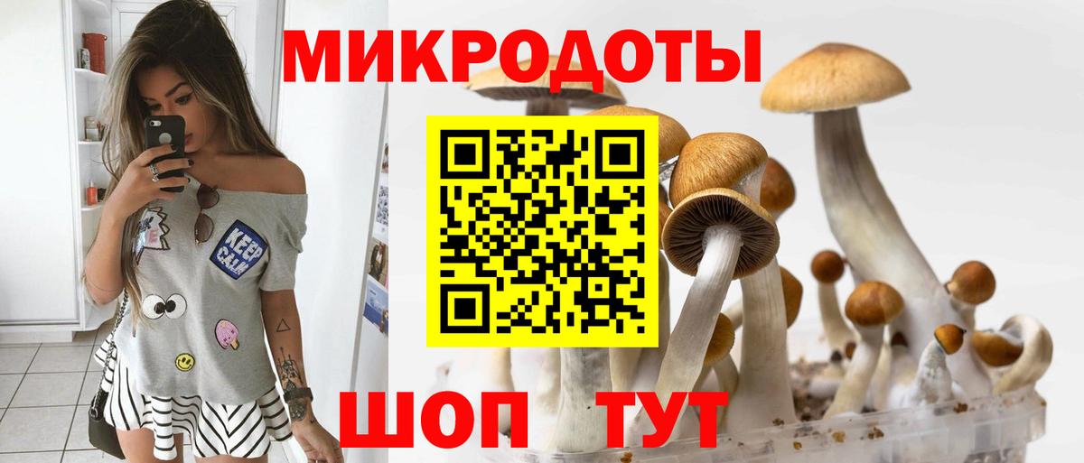 Псилоцибиновые грибы Cubensis Ленинск-Кузнецкий