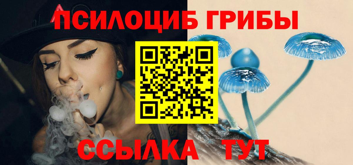 Псилоцибиновые грибы Cubensis  Вход с VPN  Ленинск-Кузнецкий 
